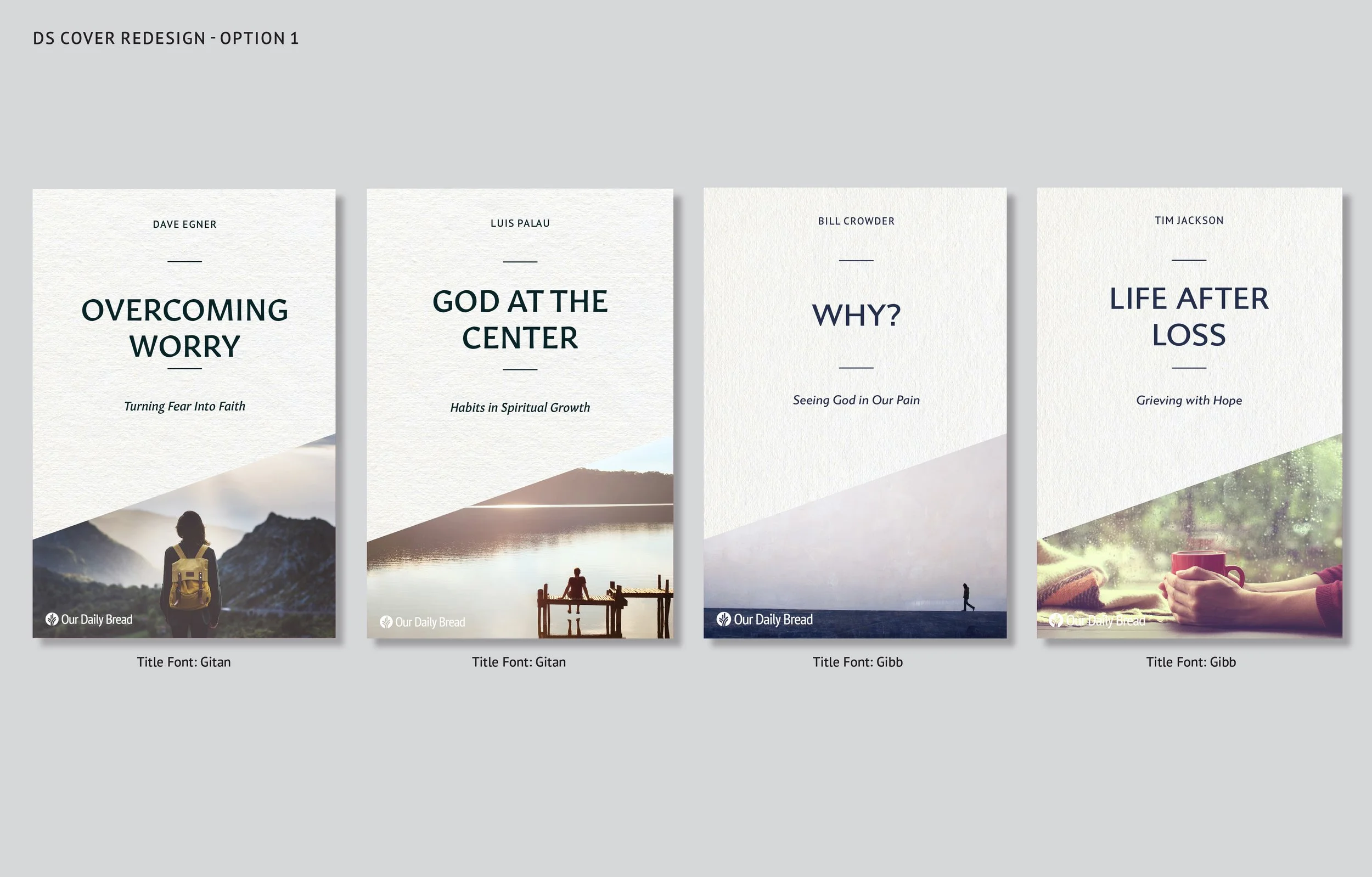 DS Cover Redesign_comps 1-1.jpg