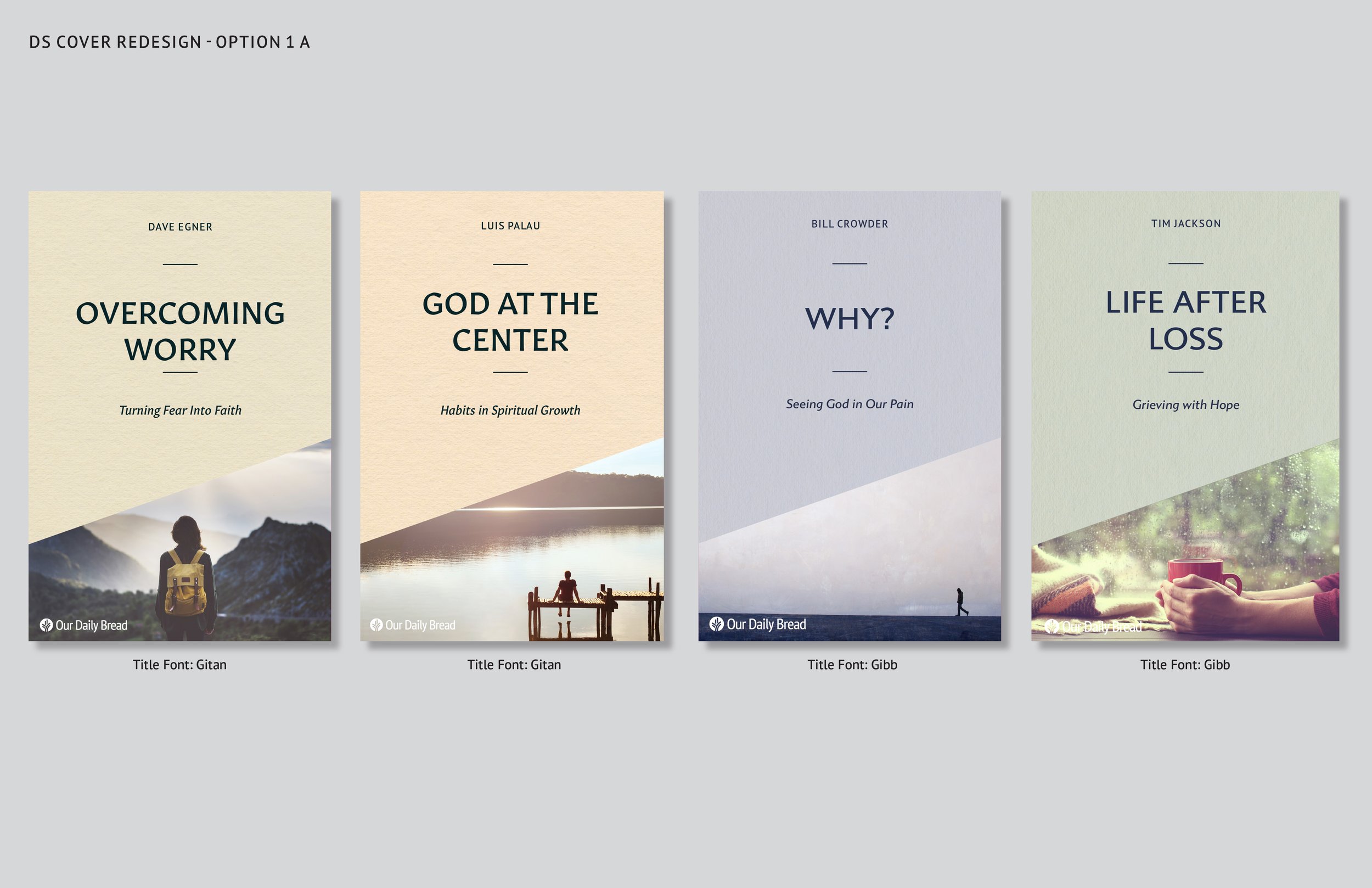 DS Cover Redesign_comps 1-2.jpg