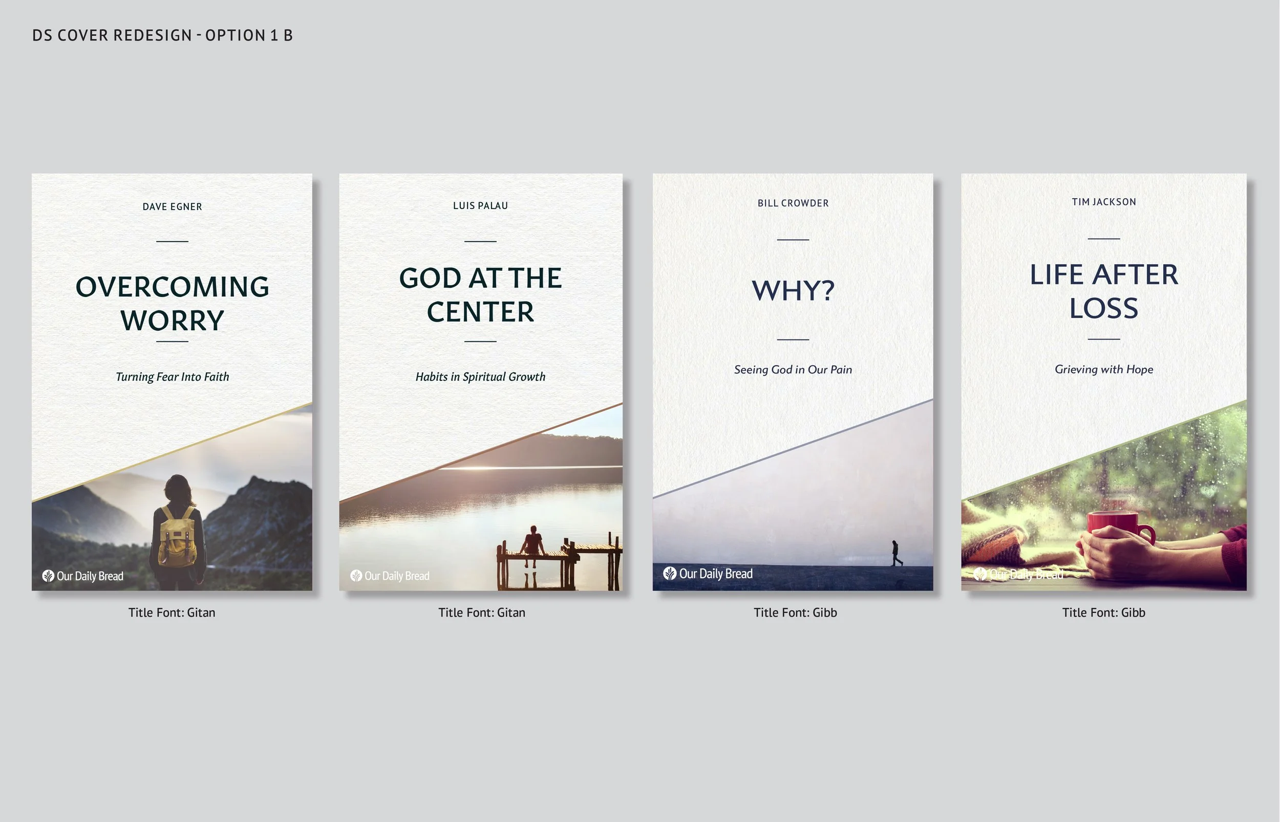 DS Cover Redesign_comps 1-3.jpg