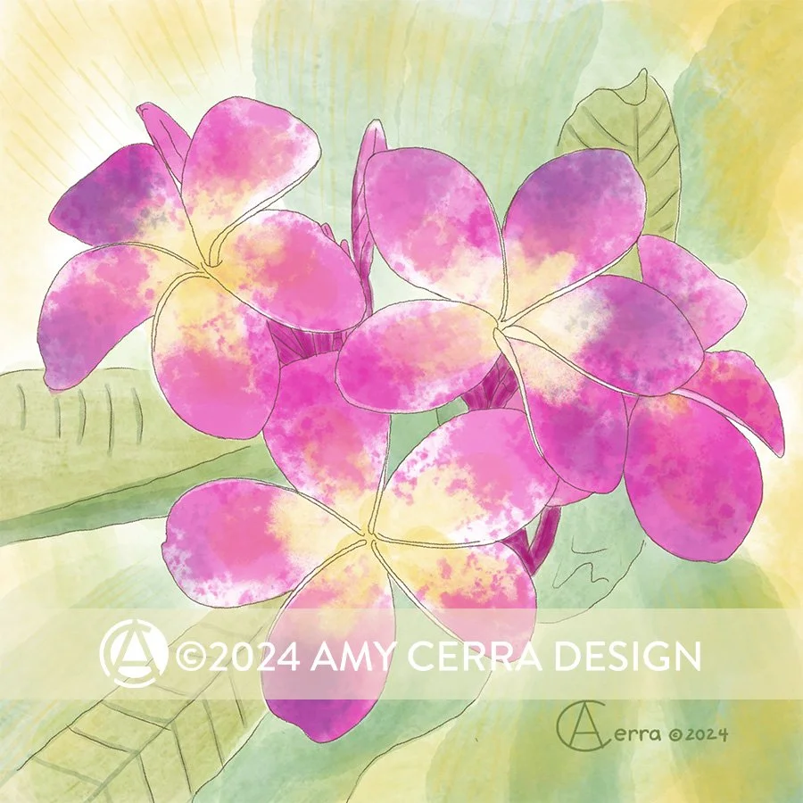 Flower Collection 1_Plumeria.jpg