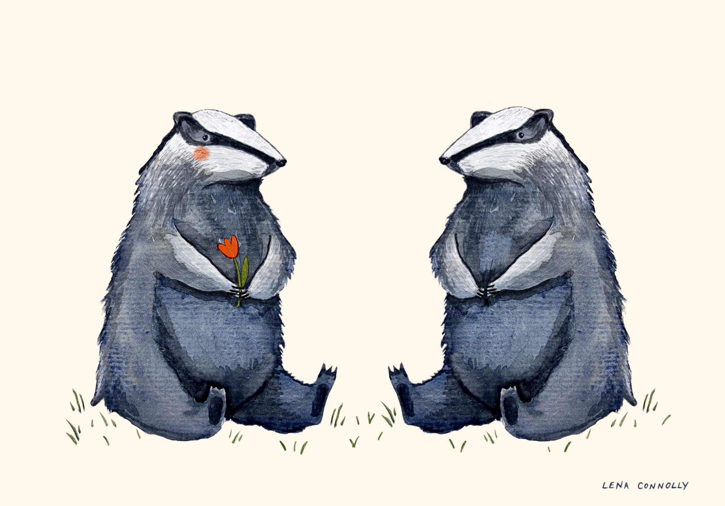 bashful badgers postcard.png