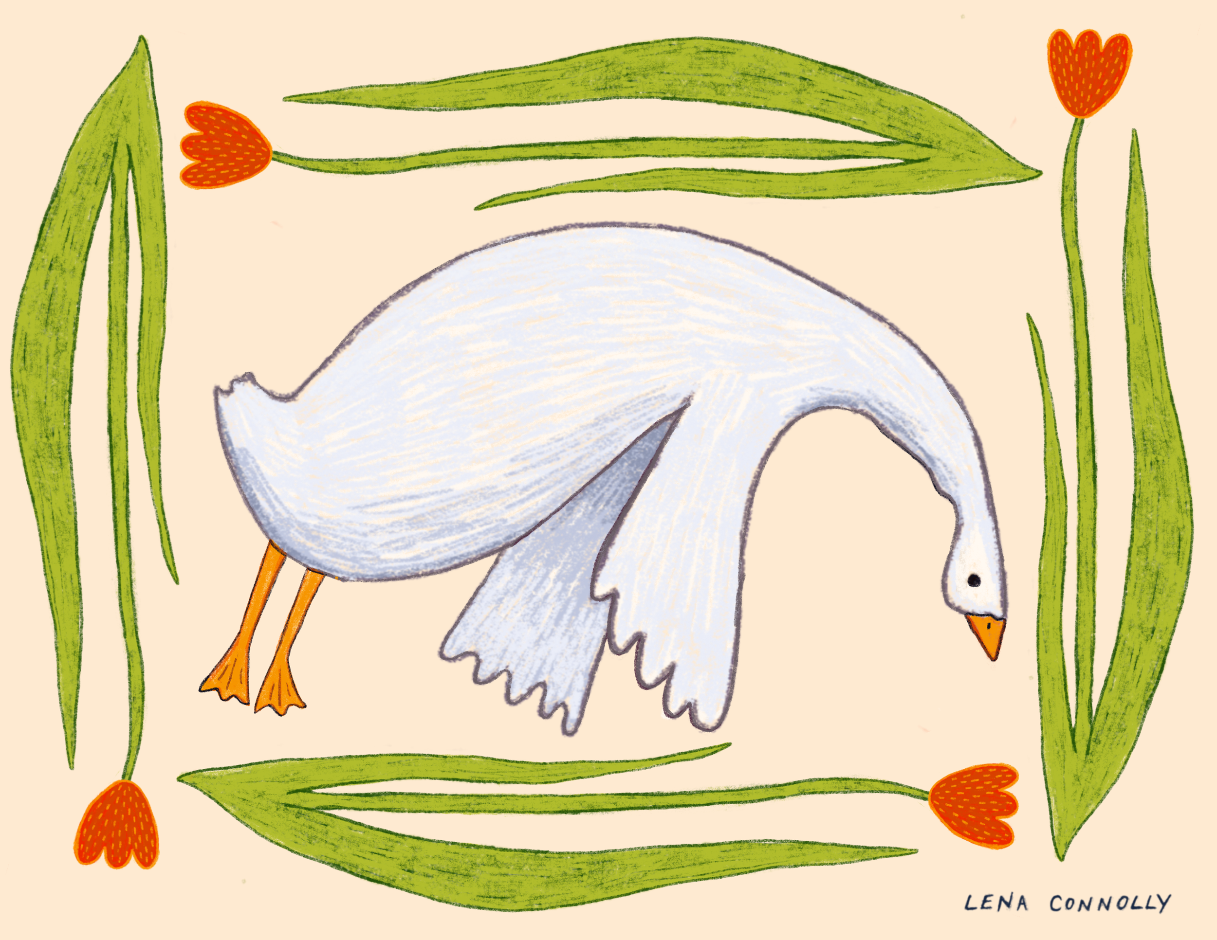 droopy goose postcard.png