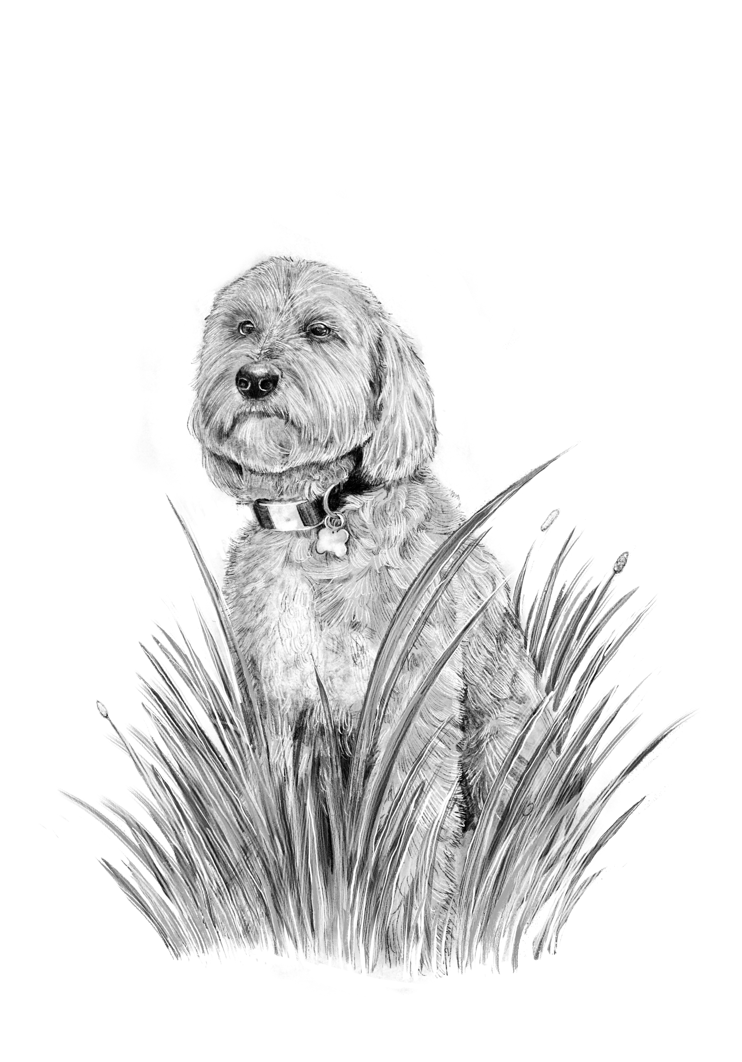 Untitled_Artwork 9.png