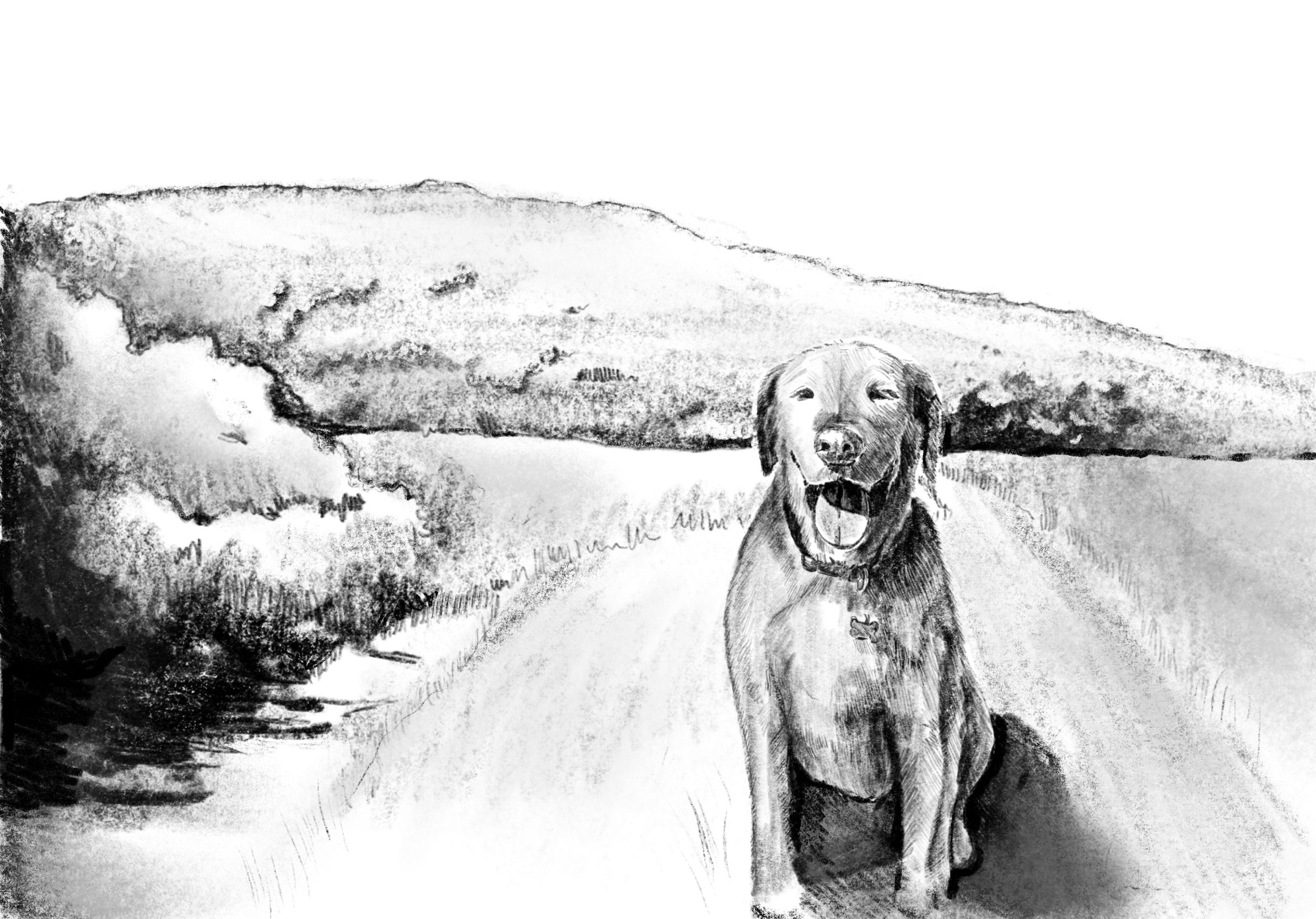 Untitled_Artwork 10.png