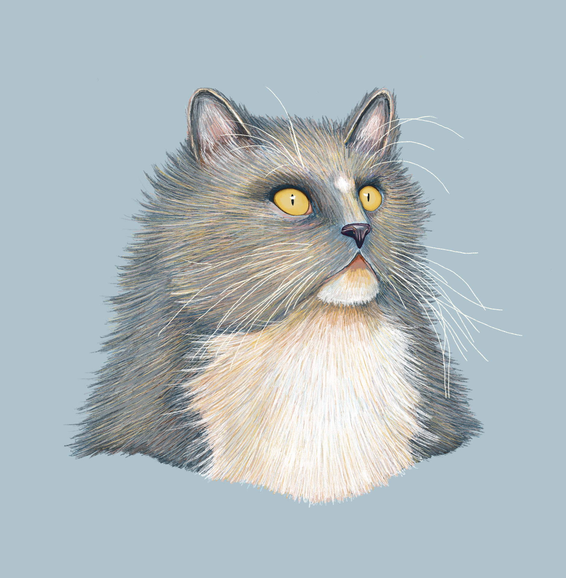 Untitled_Artwork 15.png