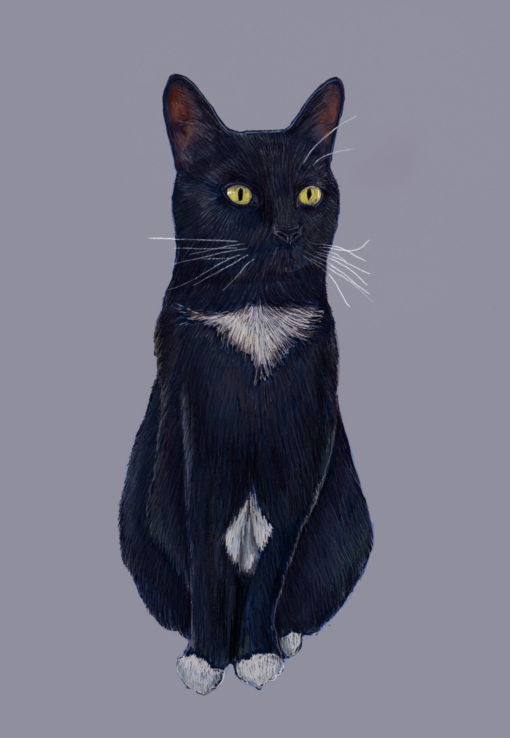 Untitled_Artwork 11.png