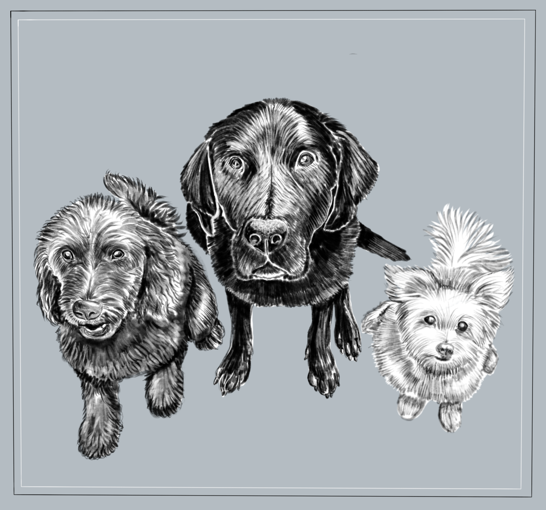 Untitled_Artwork 18.png