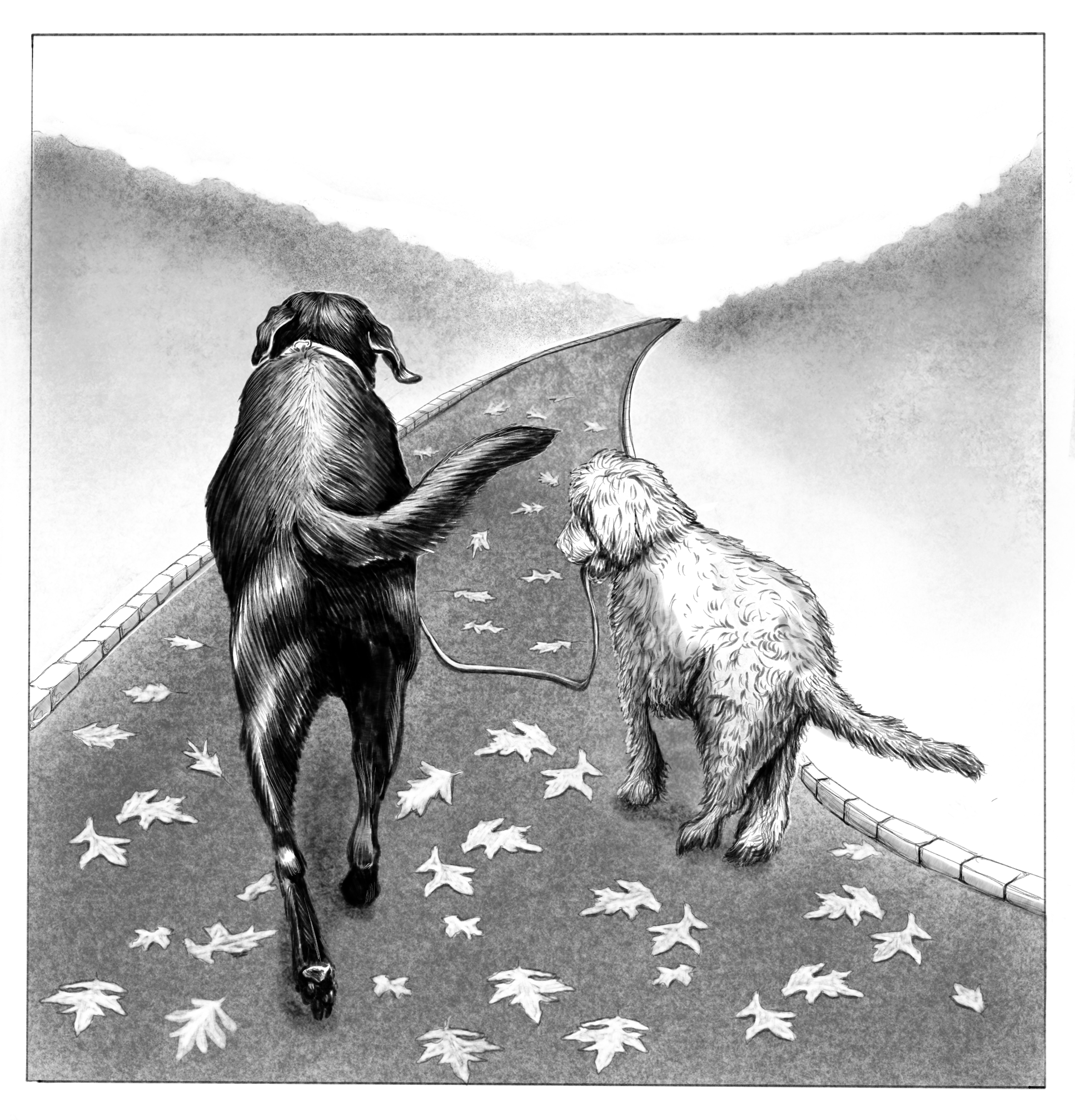Untitled_Artwork 19.png
