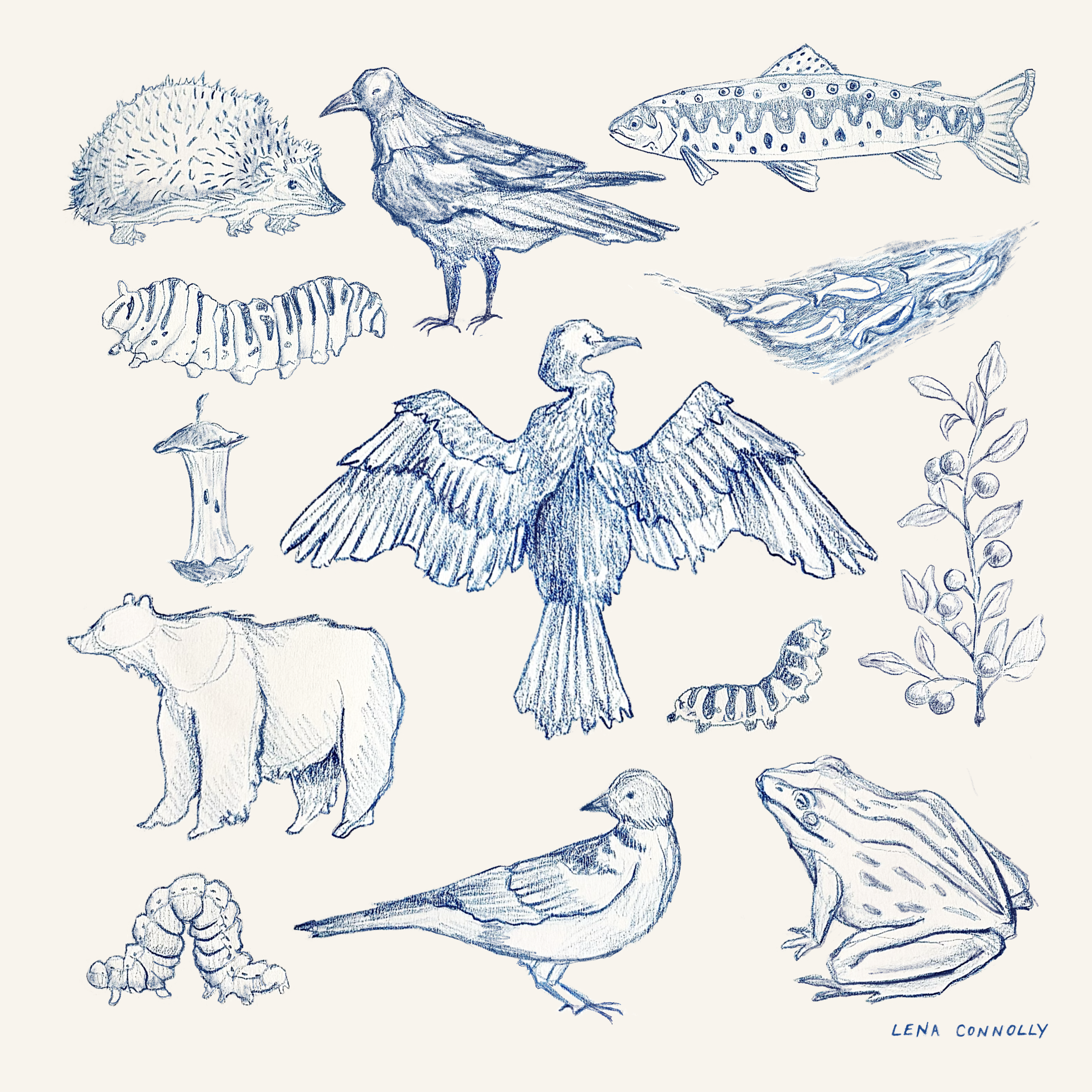 sketchbook.png