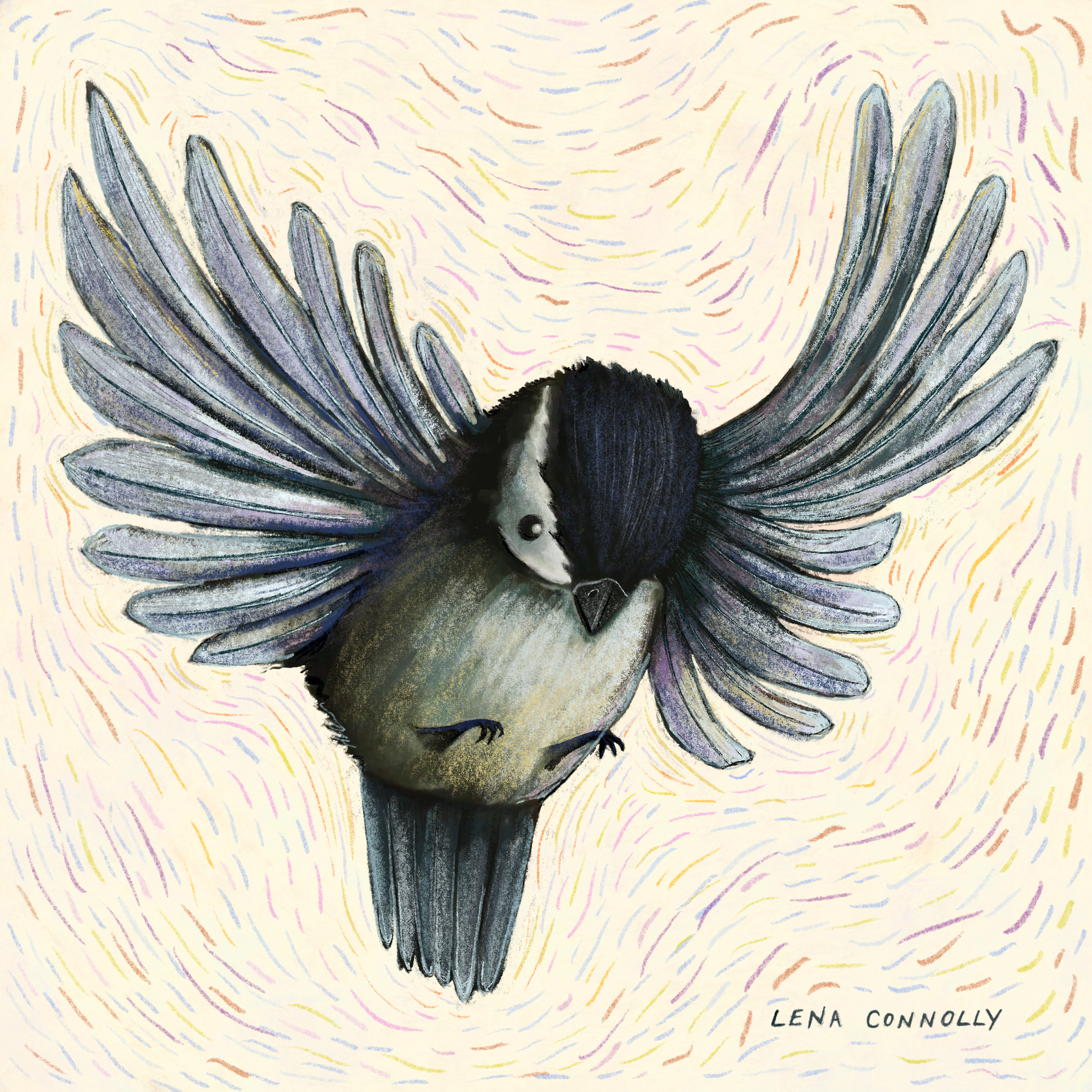 chickadee.png