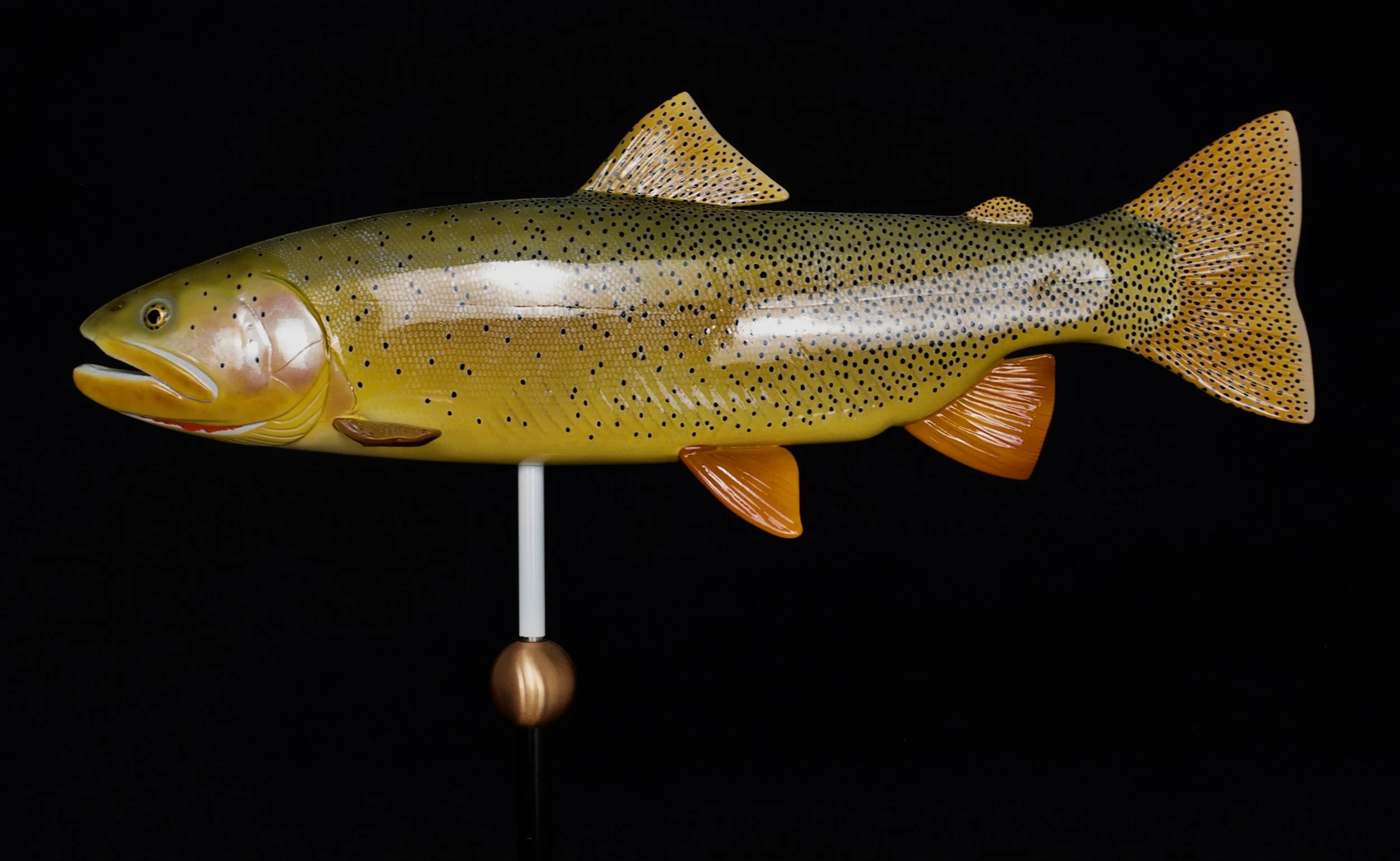 Fine Spotted Cutthroat Trout. 27" Wood-marine epoxy composite weathervane (northern white cedar), scale 1.69:1 Modeled on specimens caught and released on the Snake River, Wyoming. 