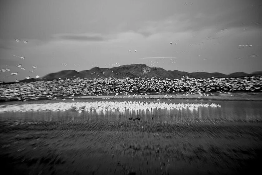 NM_2017-1.jpg