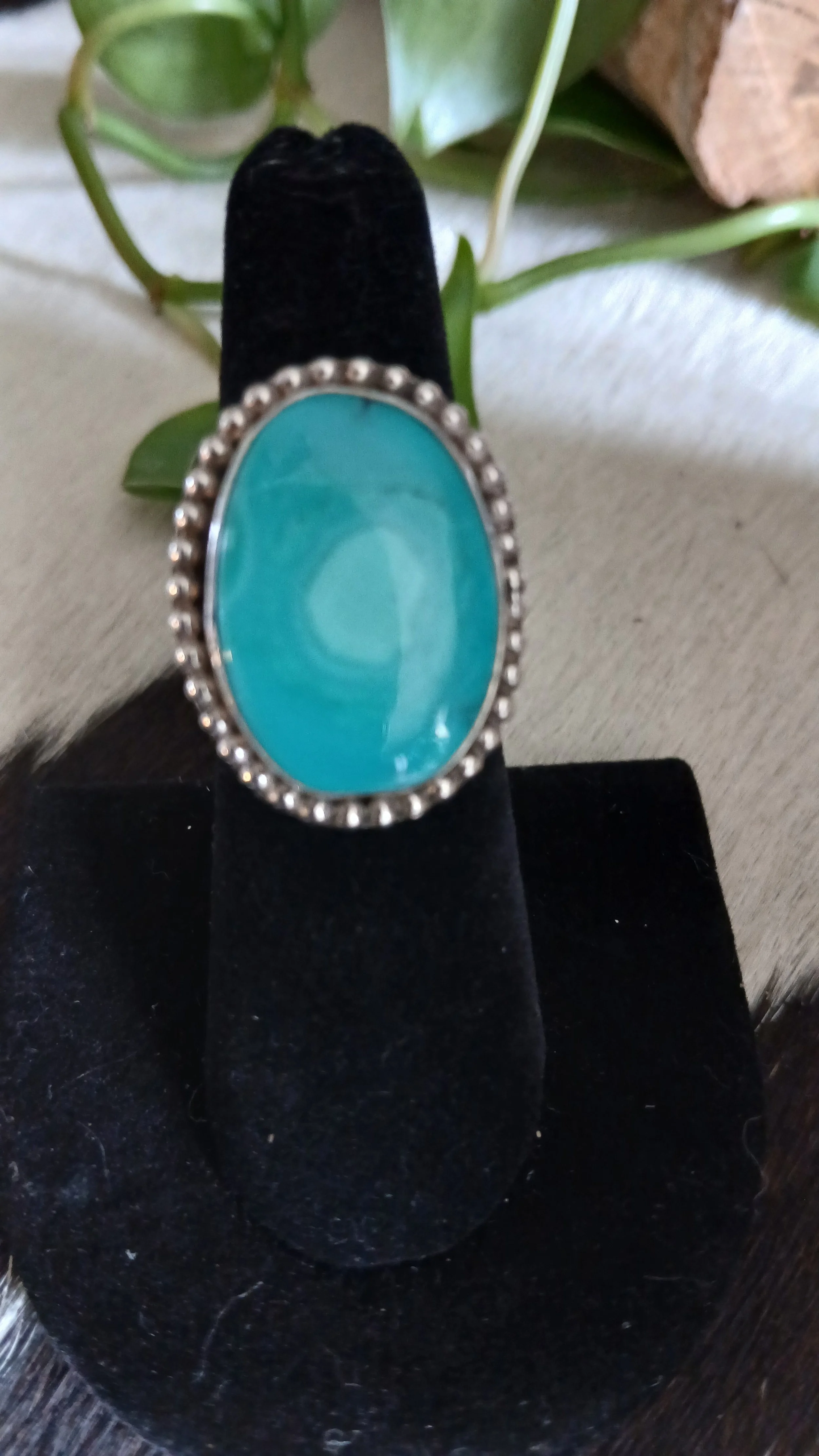 Very Cool Sierra Nevada and Sterling Ring - Size 7.5