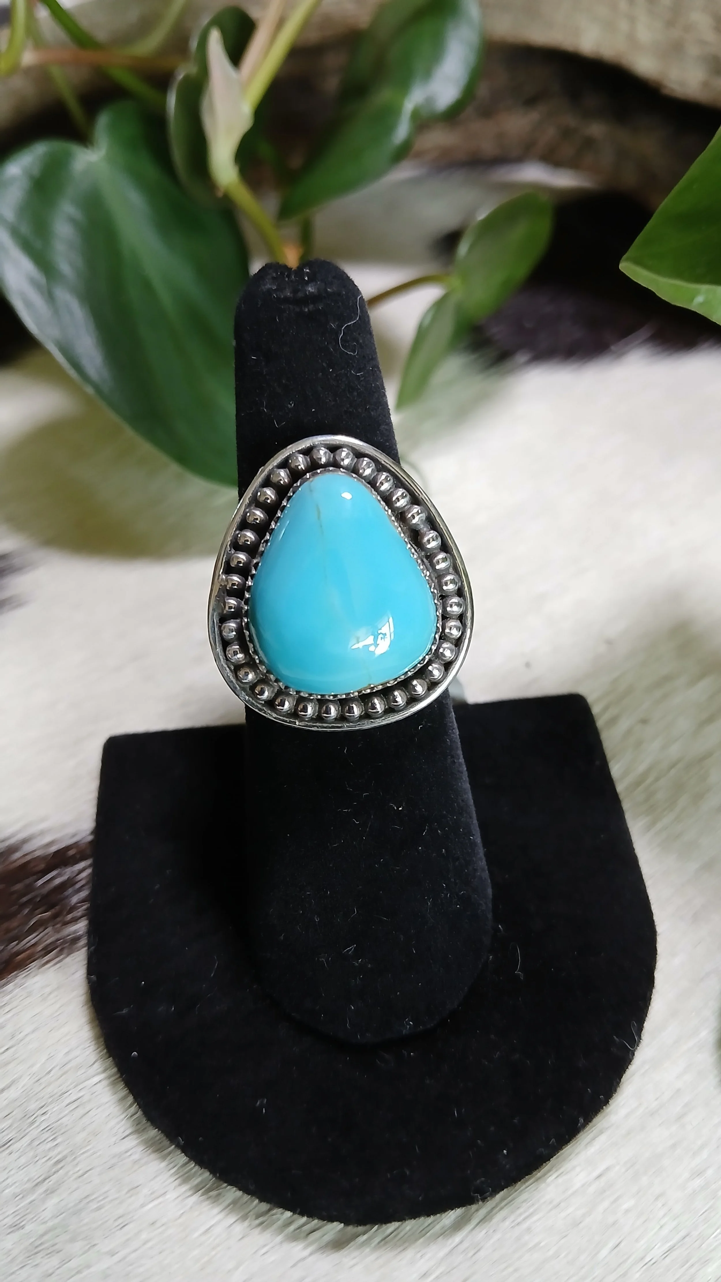 Splendid Sierra Nevada Turquoise and Sterling Ring - Size 7.25