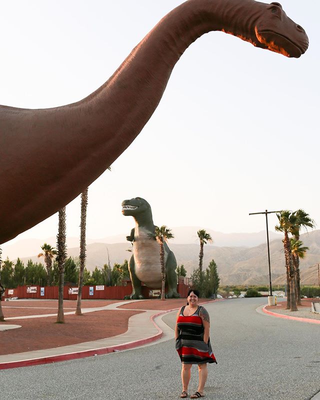 This is one of my favorite stops on the way to Palm Springs! Well, these guys &amp; the outlet mall nearby. They are a super quick side trip, free to visit (there is another exhibit that is paid to get in) and always happy to see you!⁣
⁣
Here are som