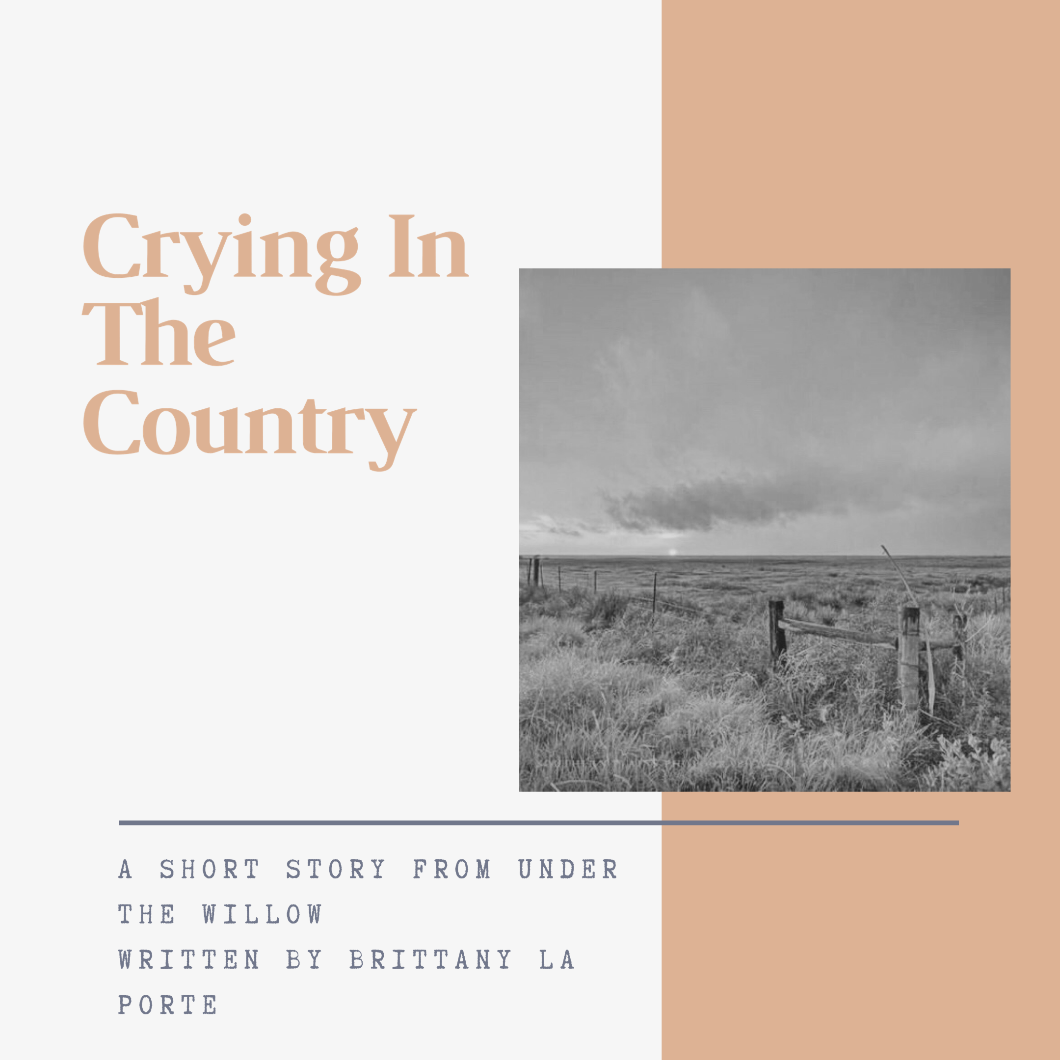 Crying In The Country 