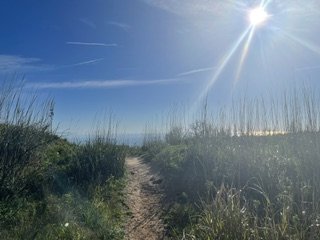 TunaCanyon