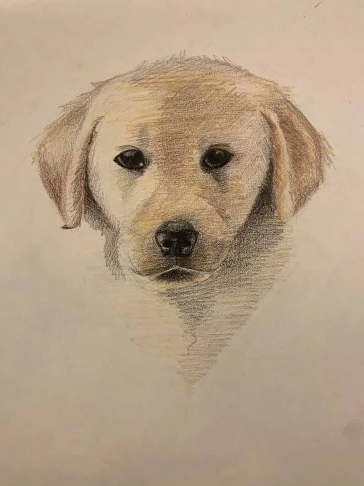 Sophia Dog for Dad_2019-09.jpg