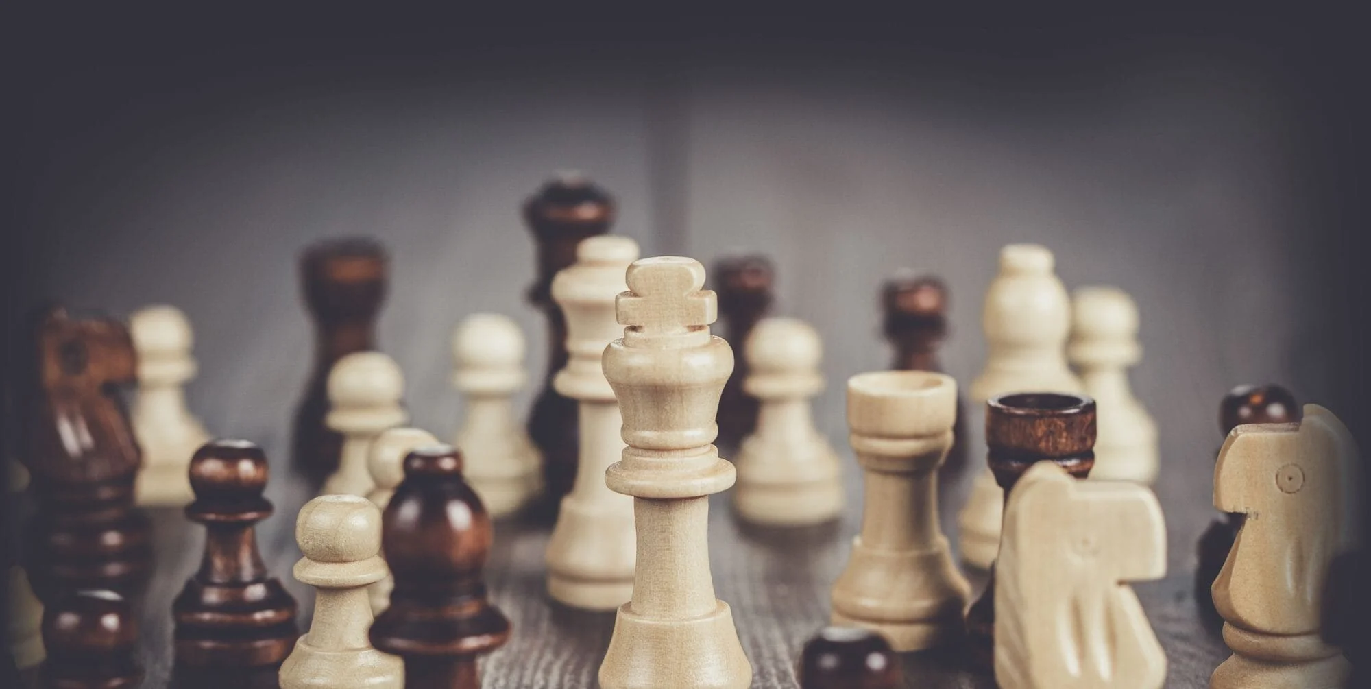 SEO and AI Search Services