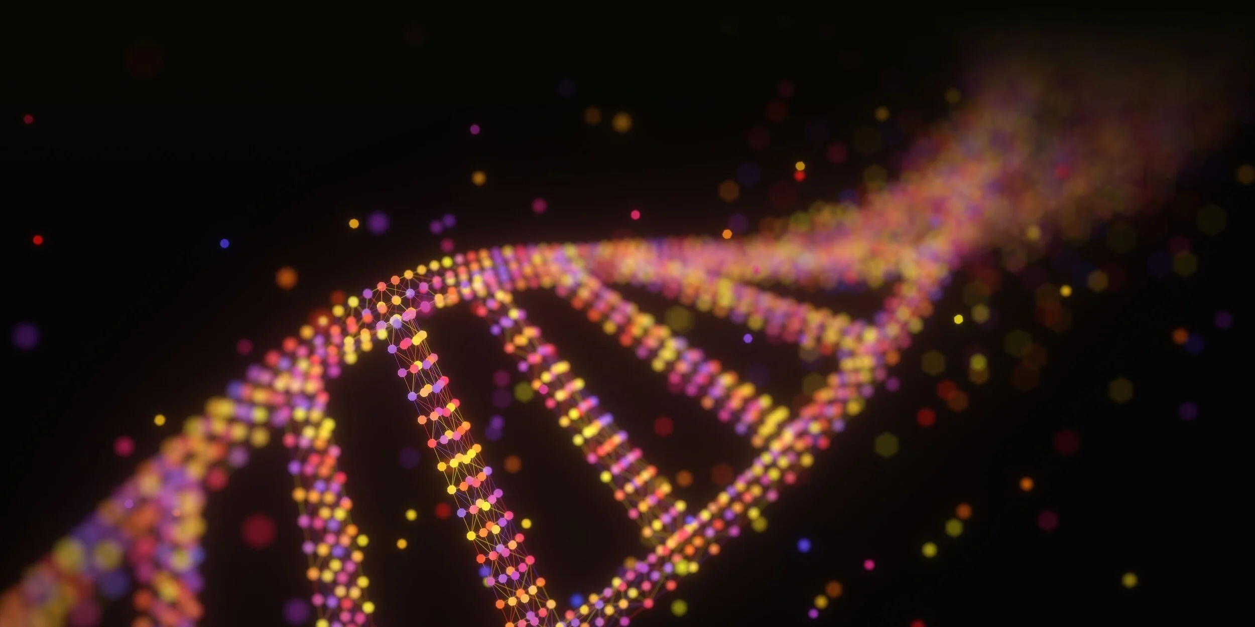 SEO and AI Search DNA