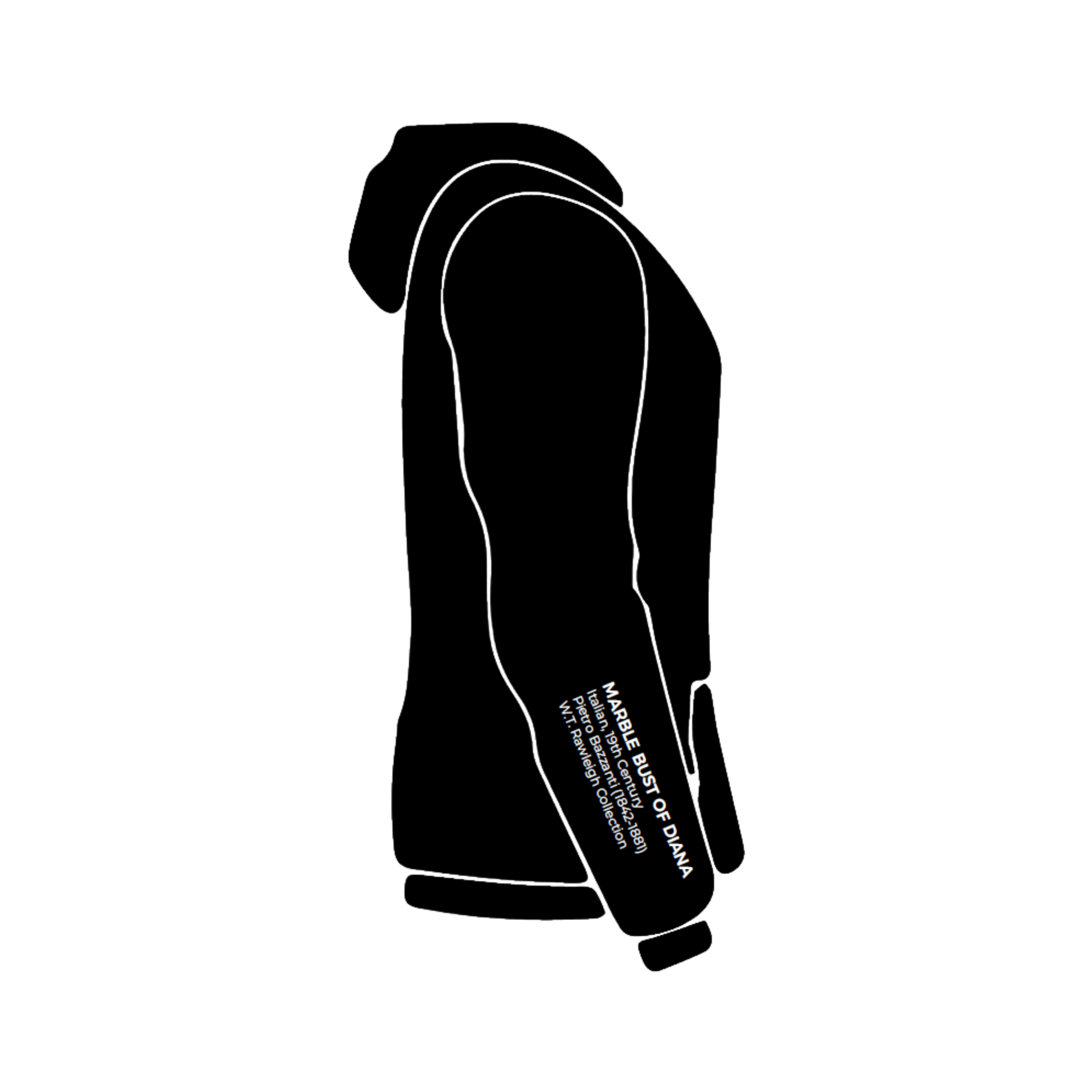Diana - Sleeve.png