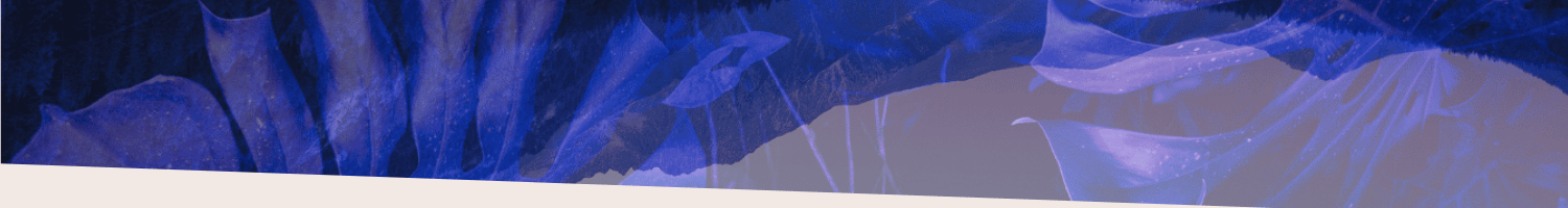abstract image of mostera leaves in purple to break up sound bath post