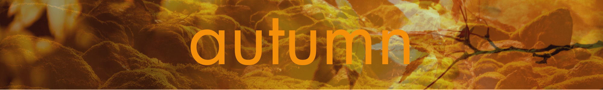 the wheel of the year:  a dark green image of moss covered rocks with the text 'autumn', representing the equinox and smahain