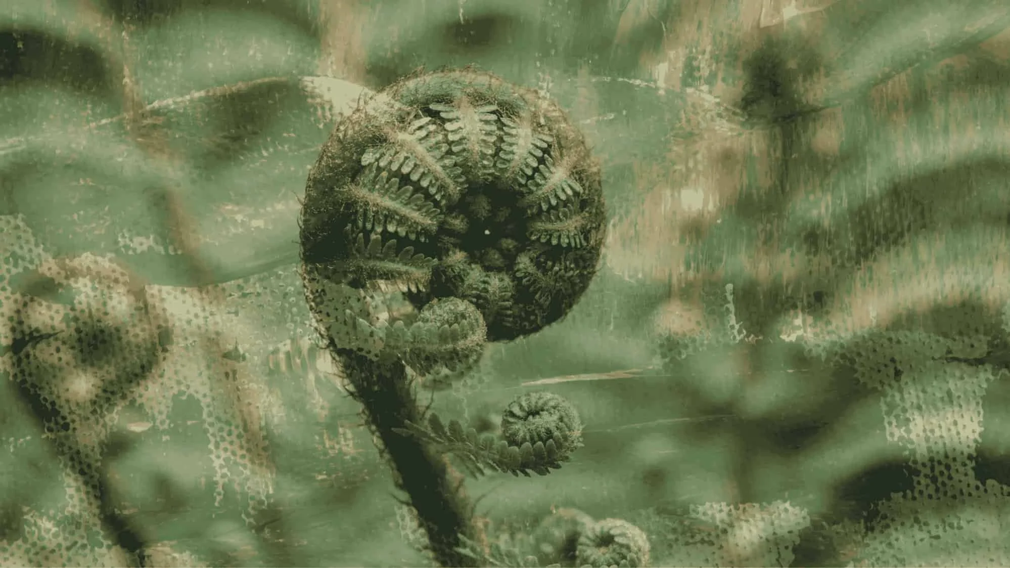 an image of a fern overlayed with an abstract pattern