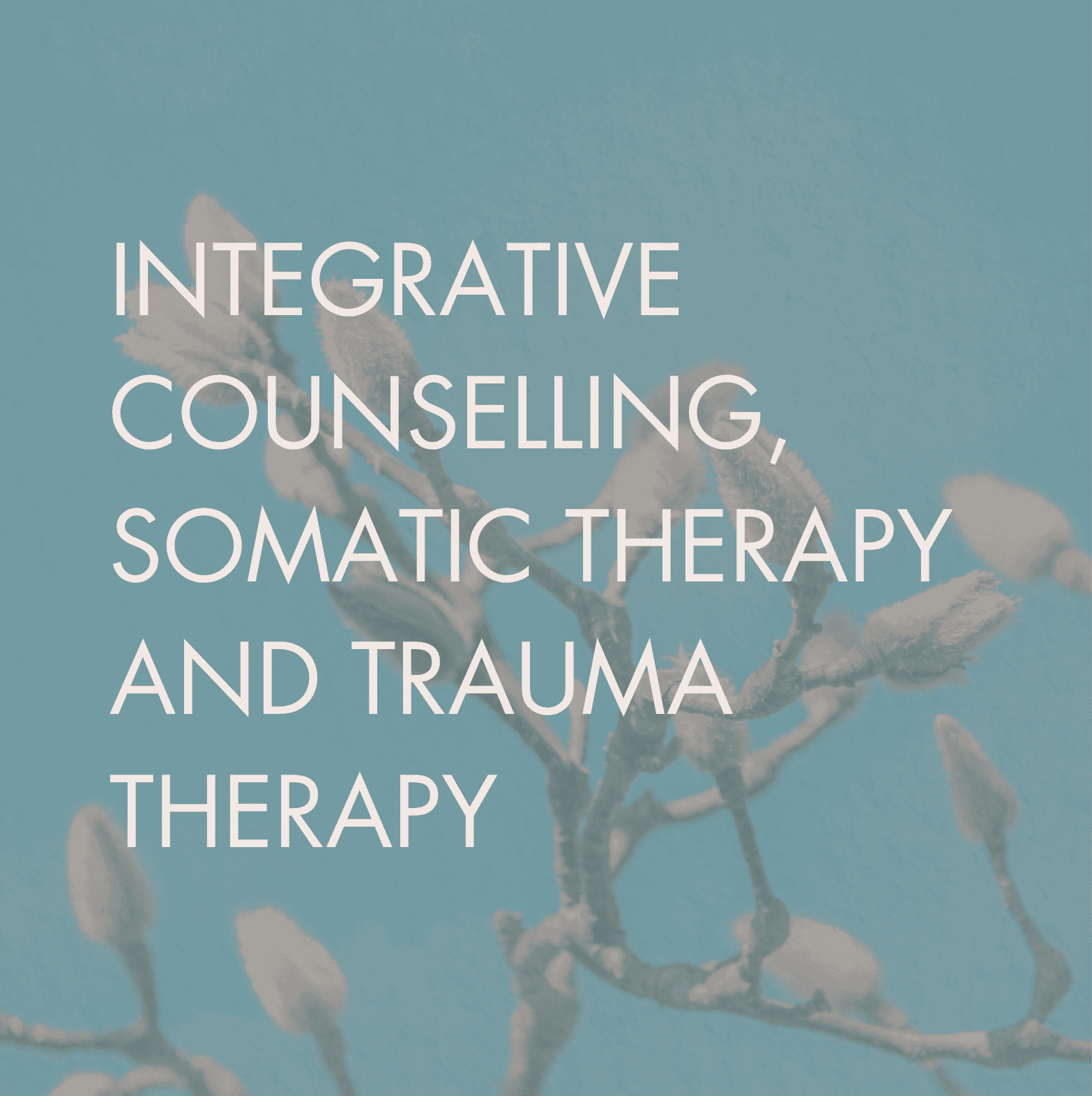 abstract image with text Counselling and somatic trauma therapy