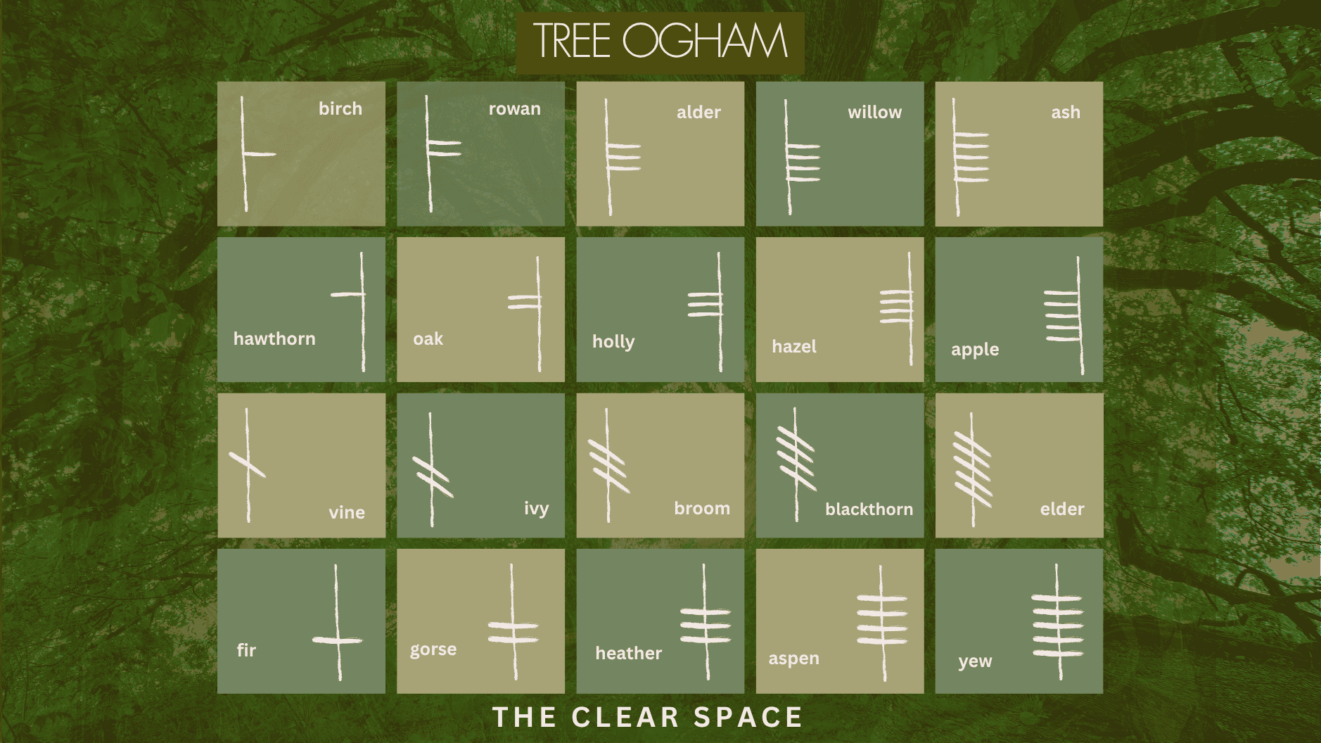 an image with 20 squares, each one containing a symbol for a tree that makes up the celtic tree ogham or tree calender. the line based details about the trees can be found in the body text