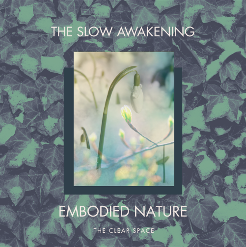 The Slow Awakening