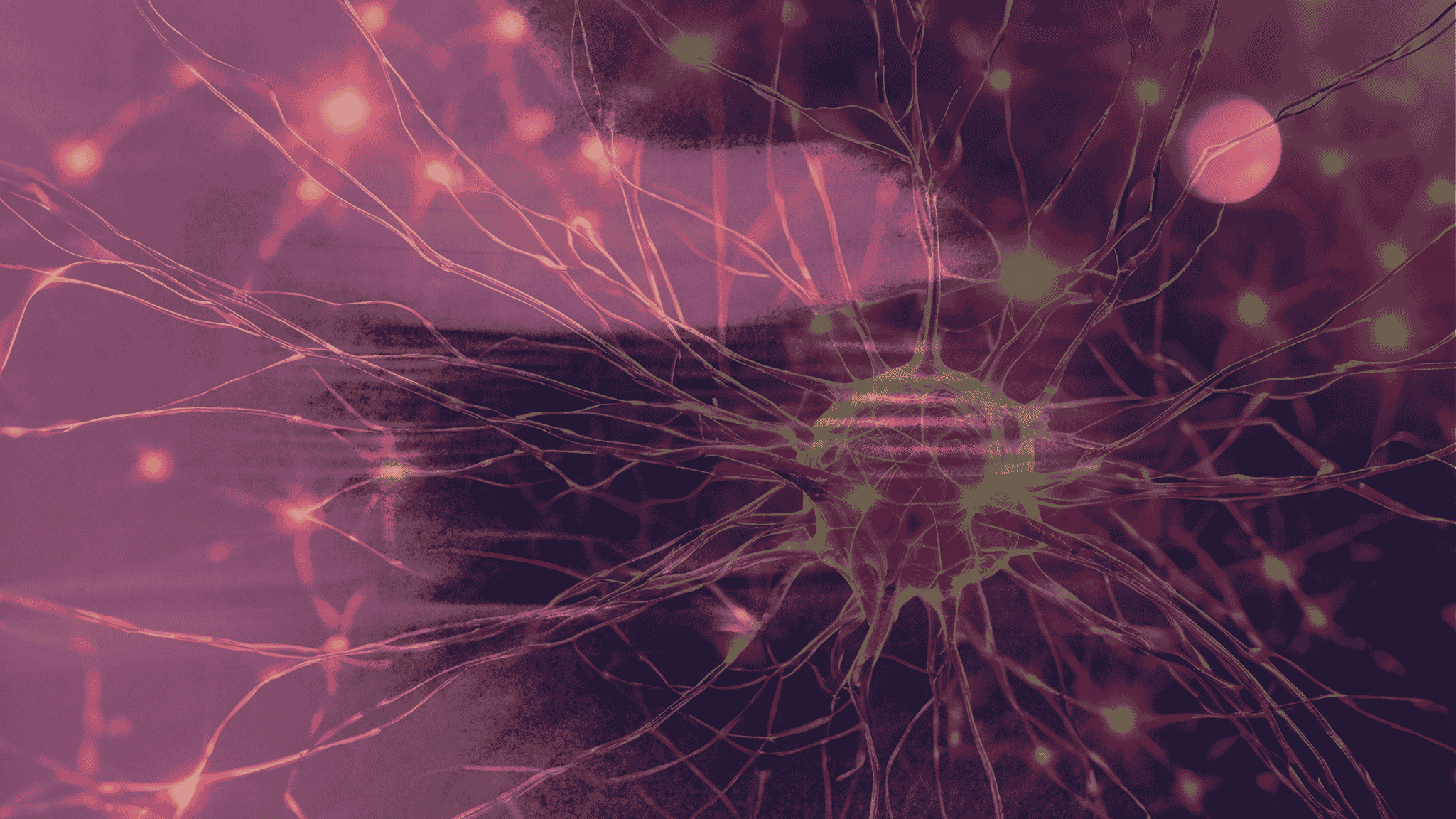 desire vs impulse image of brain neurons firing in pink and brown