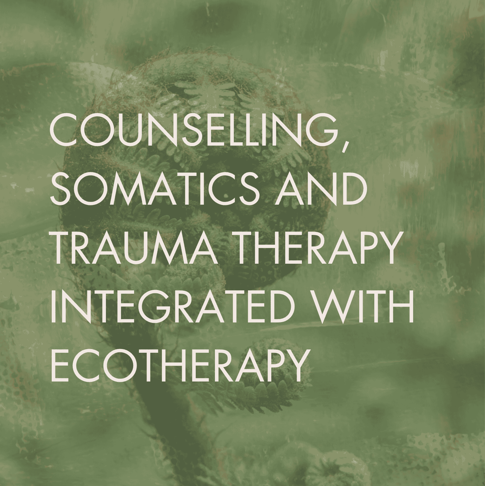 abstract image with text counselling, somatics and trauma therapy integrated with ecotherapy