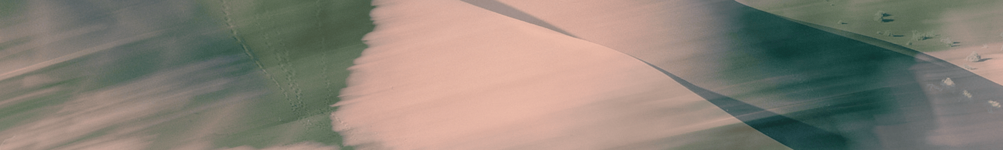 abstract purple and orange flowers to create a visual break on a post about UK Resources for Mental Health Crisis Support