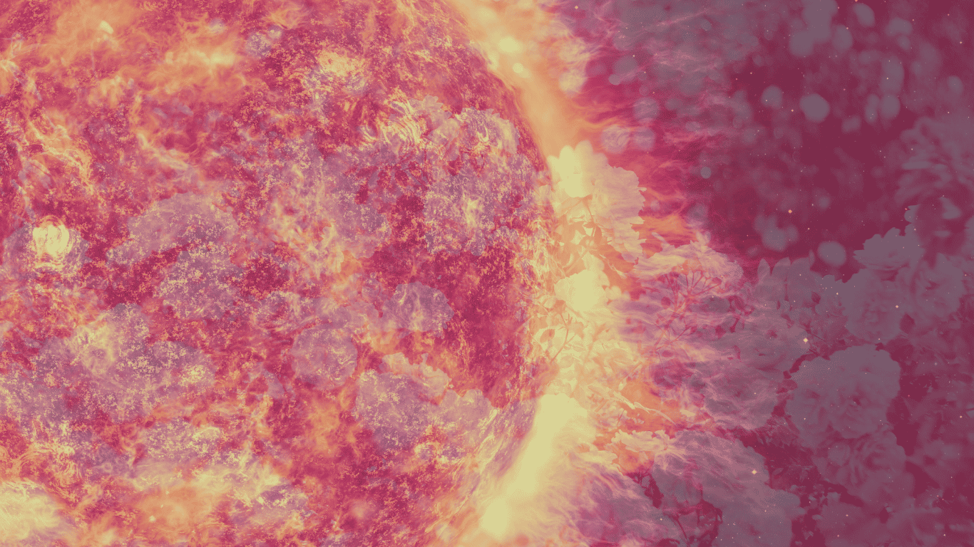 An abstract image of the surface of the sun overlaid with pink flowers summer solstice and litha