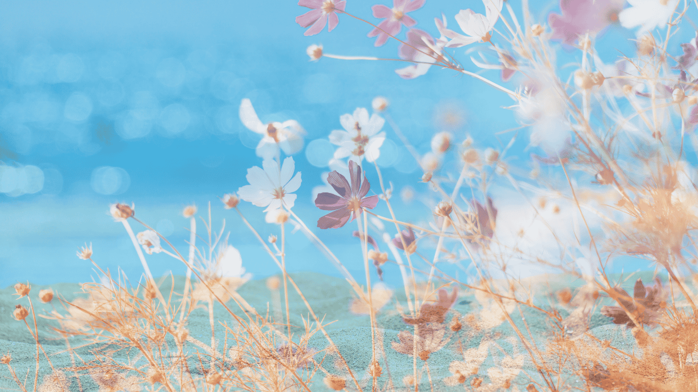 an abstract image with lilac and white flowers to represent lammas lughnasadh