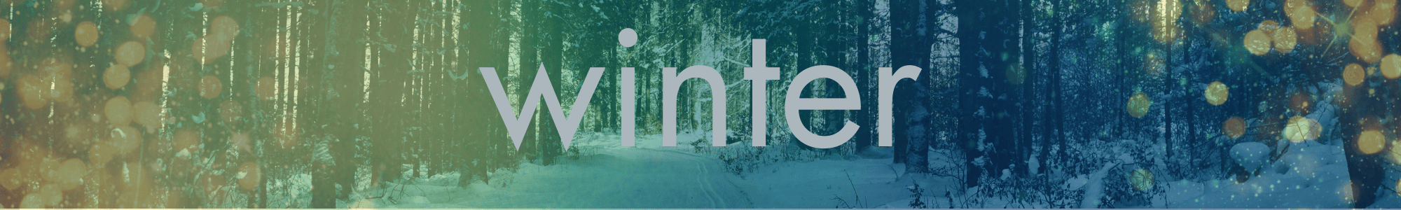 the wheel of the year:  a snowy forest with winter sun shining through and the word 'winter celebrating the festivals of yule and beltane