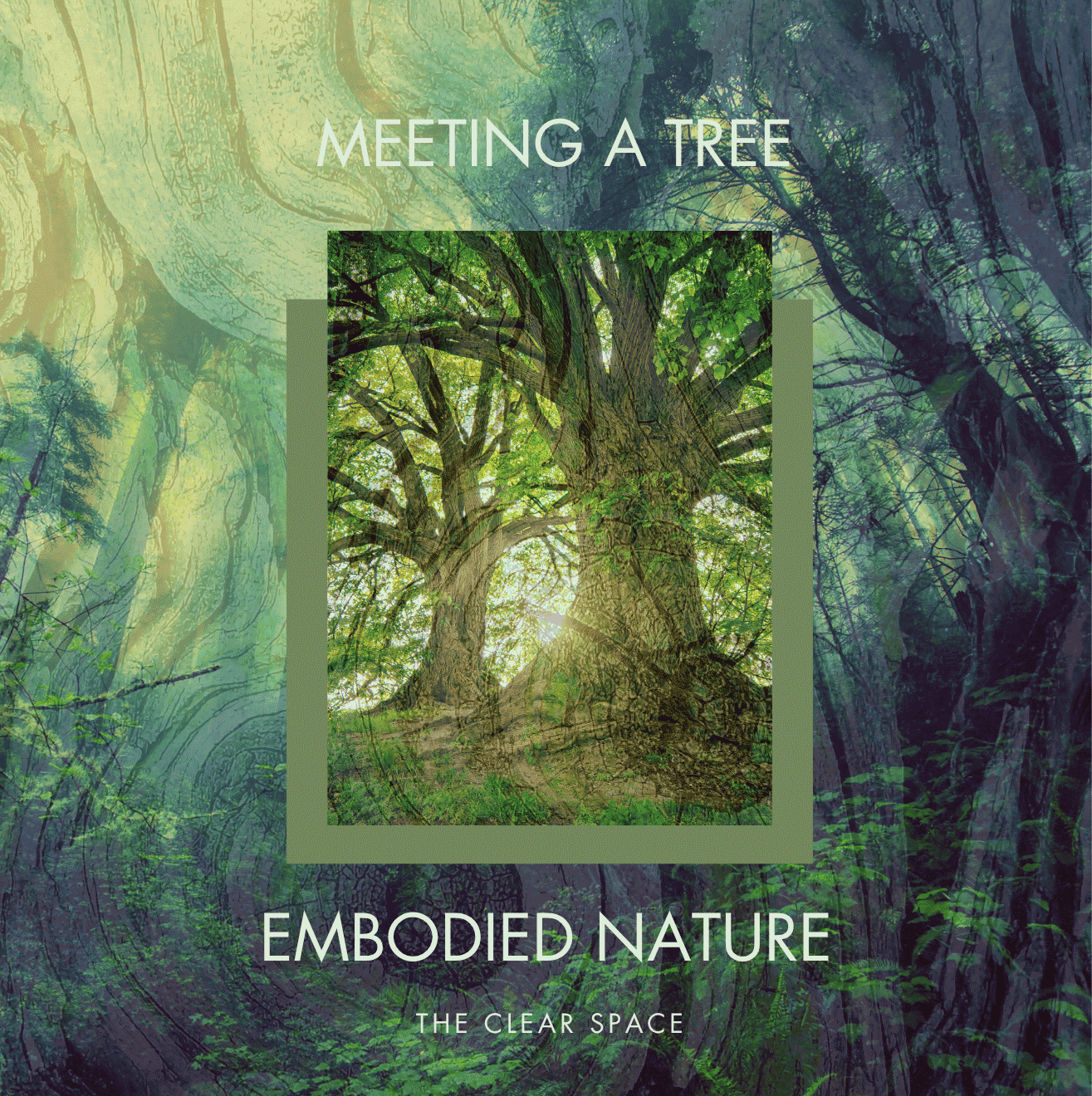Meeting a Tree