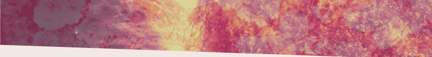 summer solstice An abstract image of the surface of the sun overlaid with purple flowers
