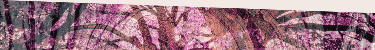 an segment of the above abstract image of two trees in a forest overlaid by the pattern from tree bark on a post about forest bathing and tree connection