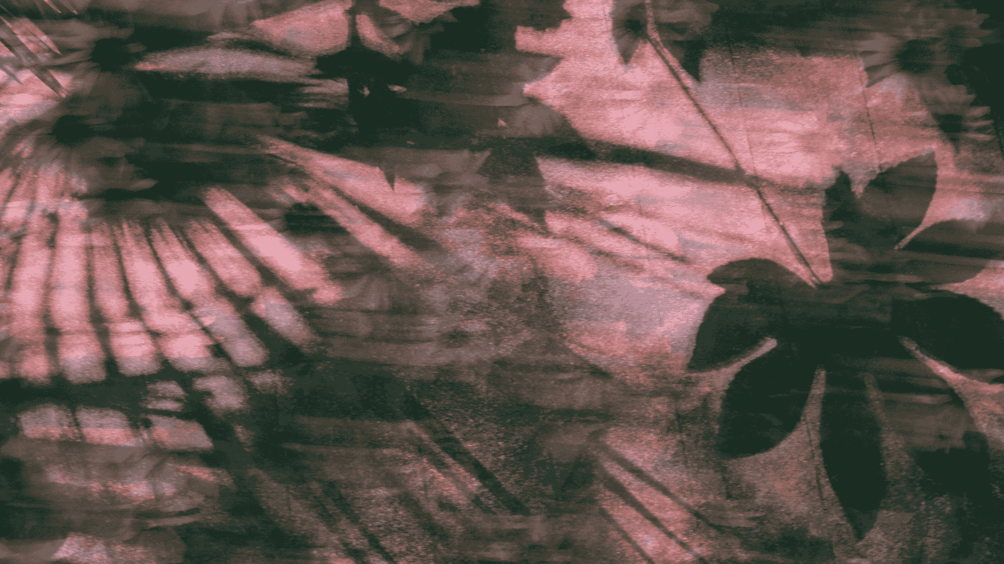 Silhouettes of various leaves in dark shadows with a pink-tinted background, creating a layered, textured appearance.