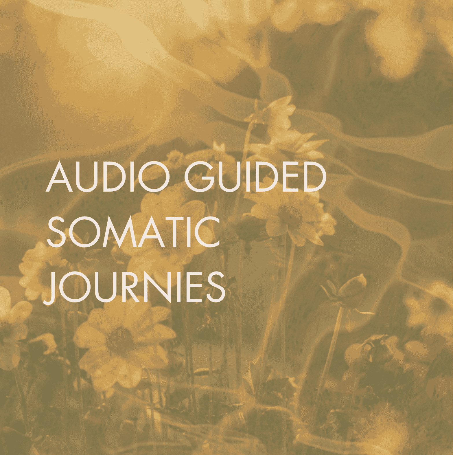 abstract image with the text sacred somatic journeys