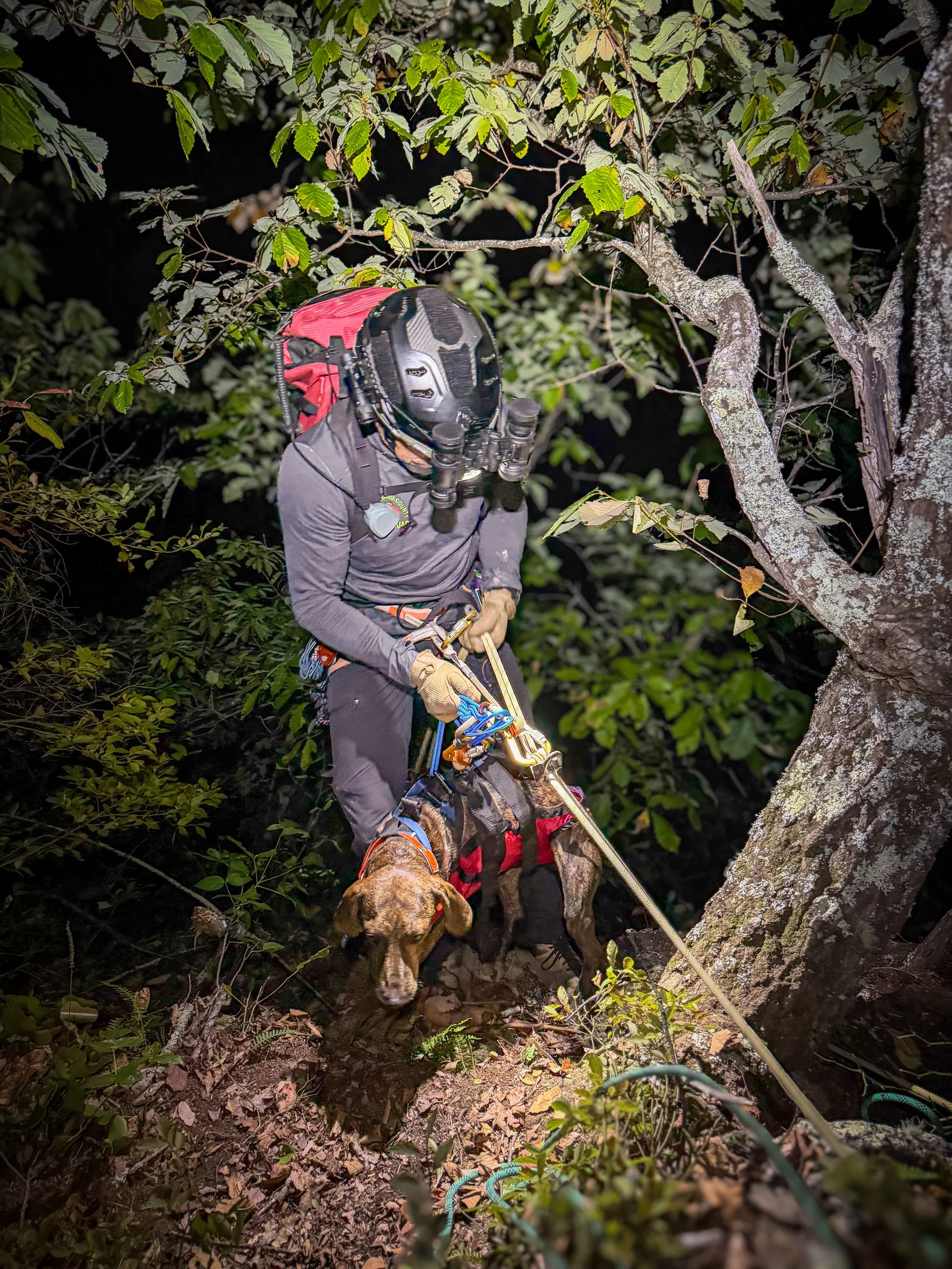 It takes 20 years...