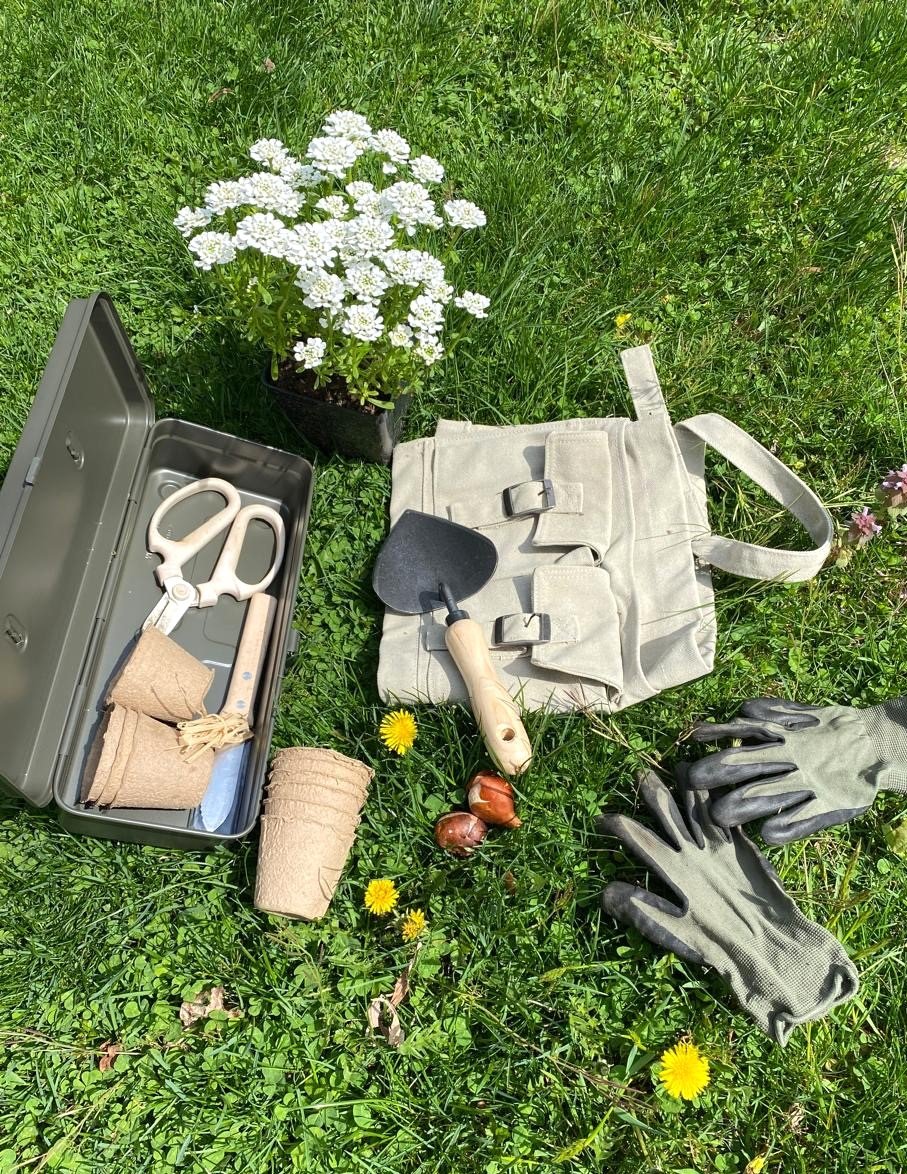 Toyo Steelbox garden view .JPG