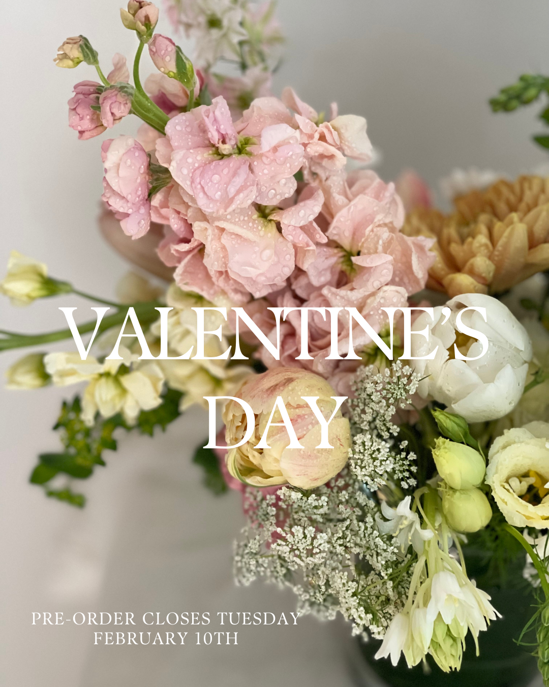 Pre-order closes Tuesday , February 10th.png