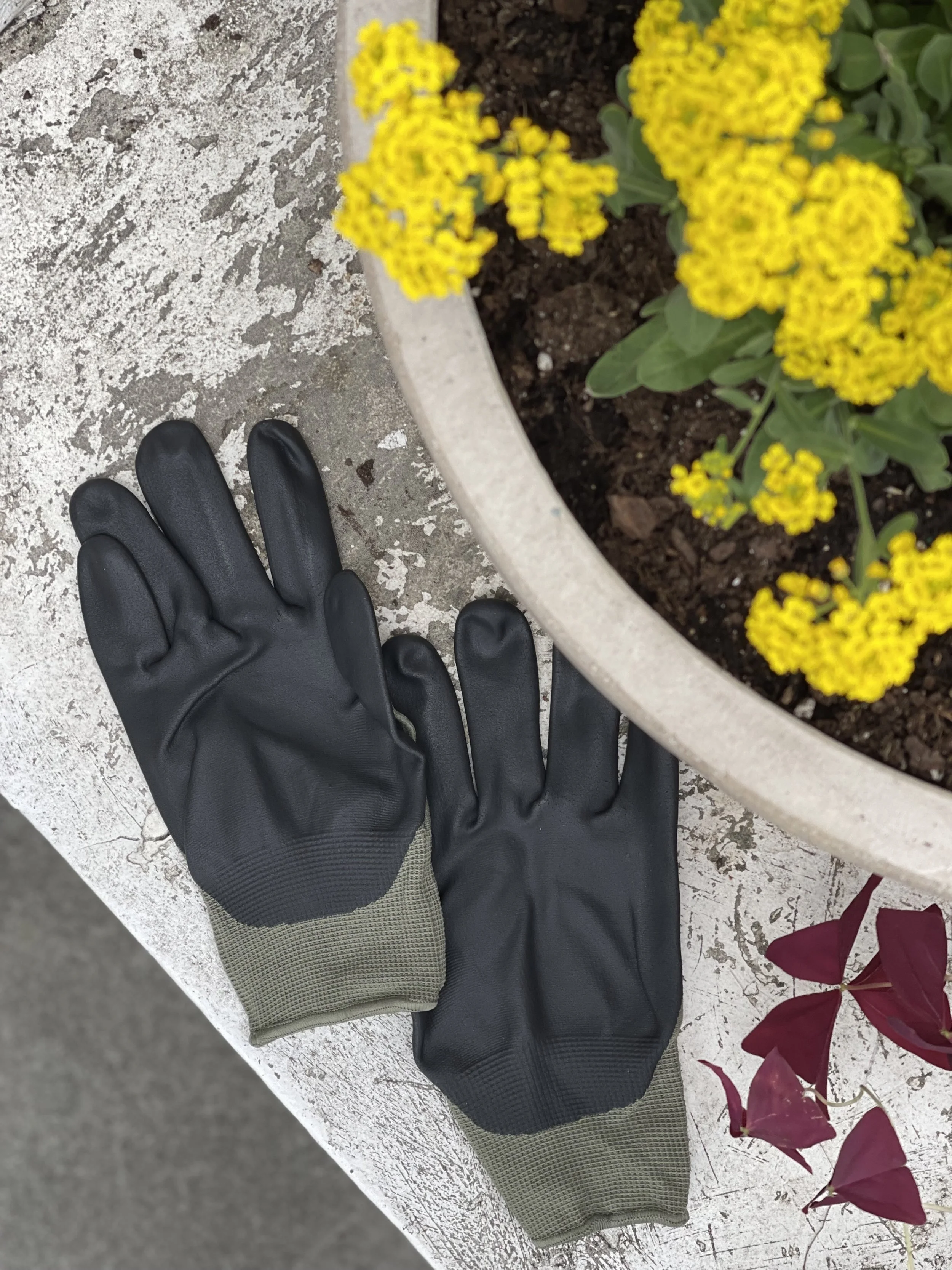 Garden Gloves top view with yellow flower .jpg