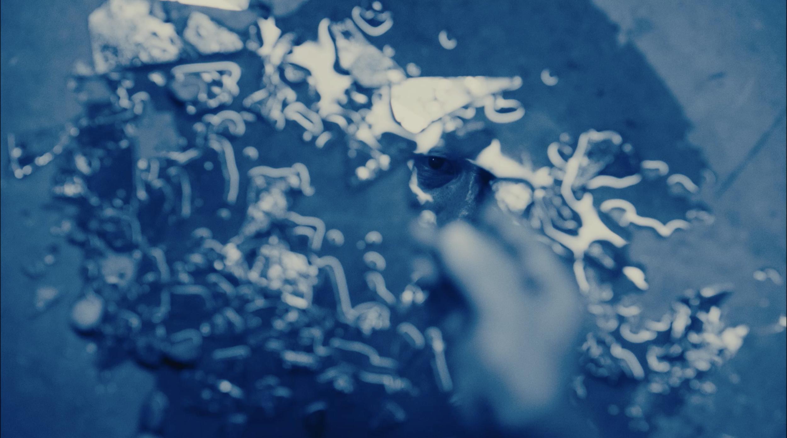 Screen Shot 2021-12-29 at 12.52.55 PM.png