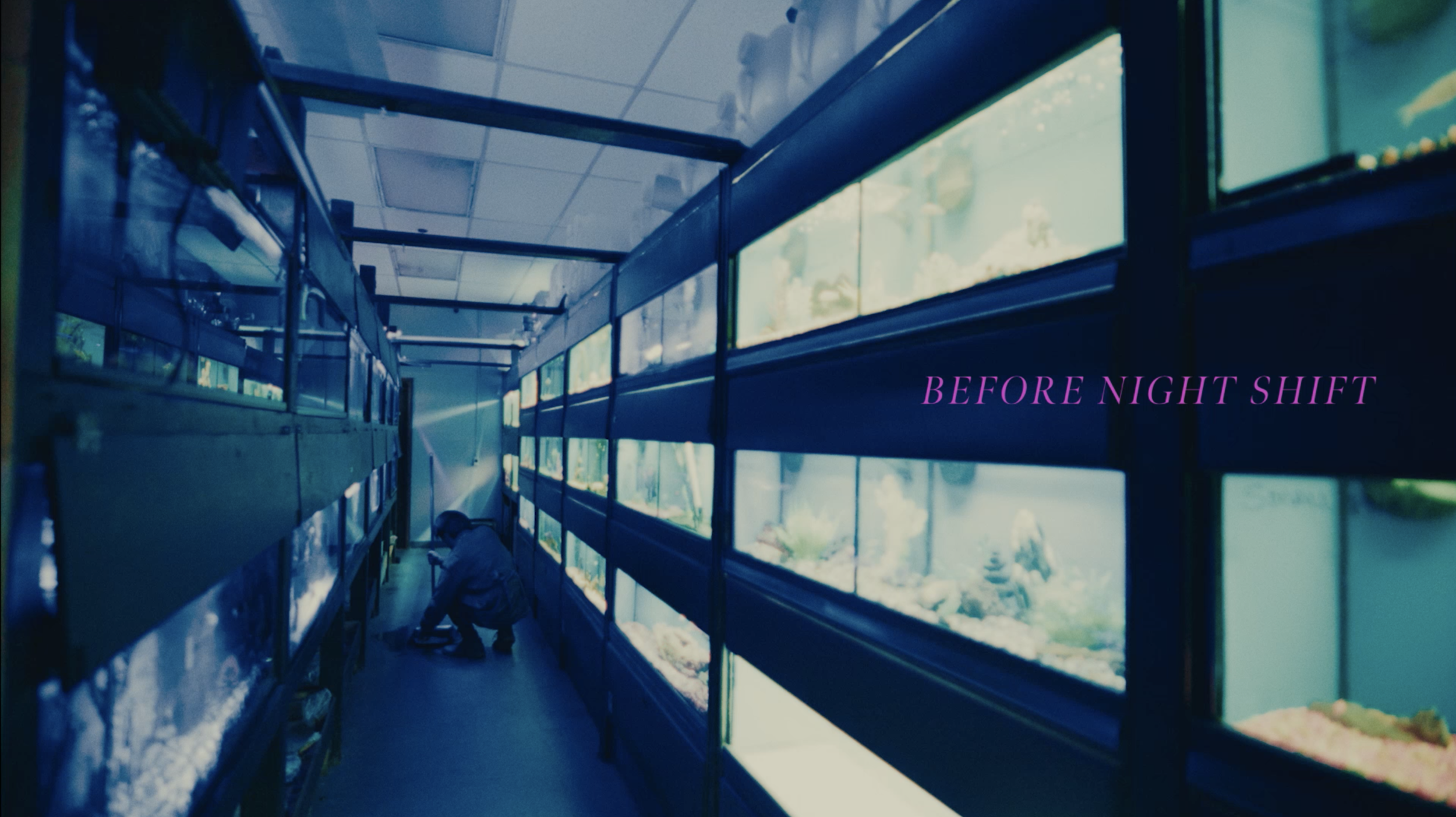 Screen Shot 2021-12-29 at 12.54.13 PM.png