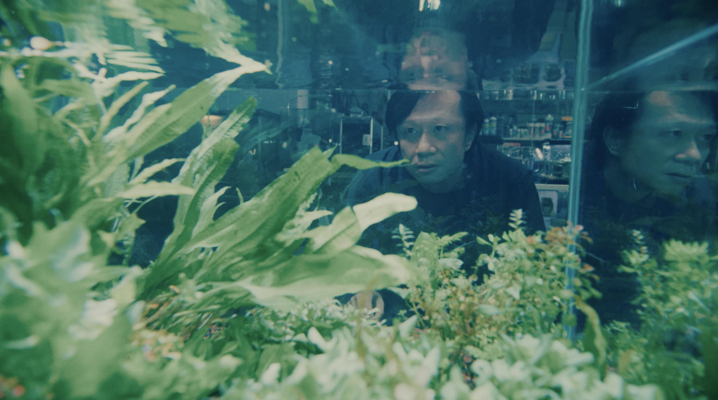 Screen Shot 2021-12-29 at 12.57.40 PM.png