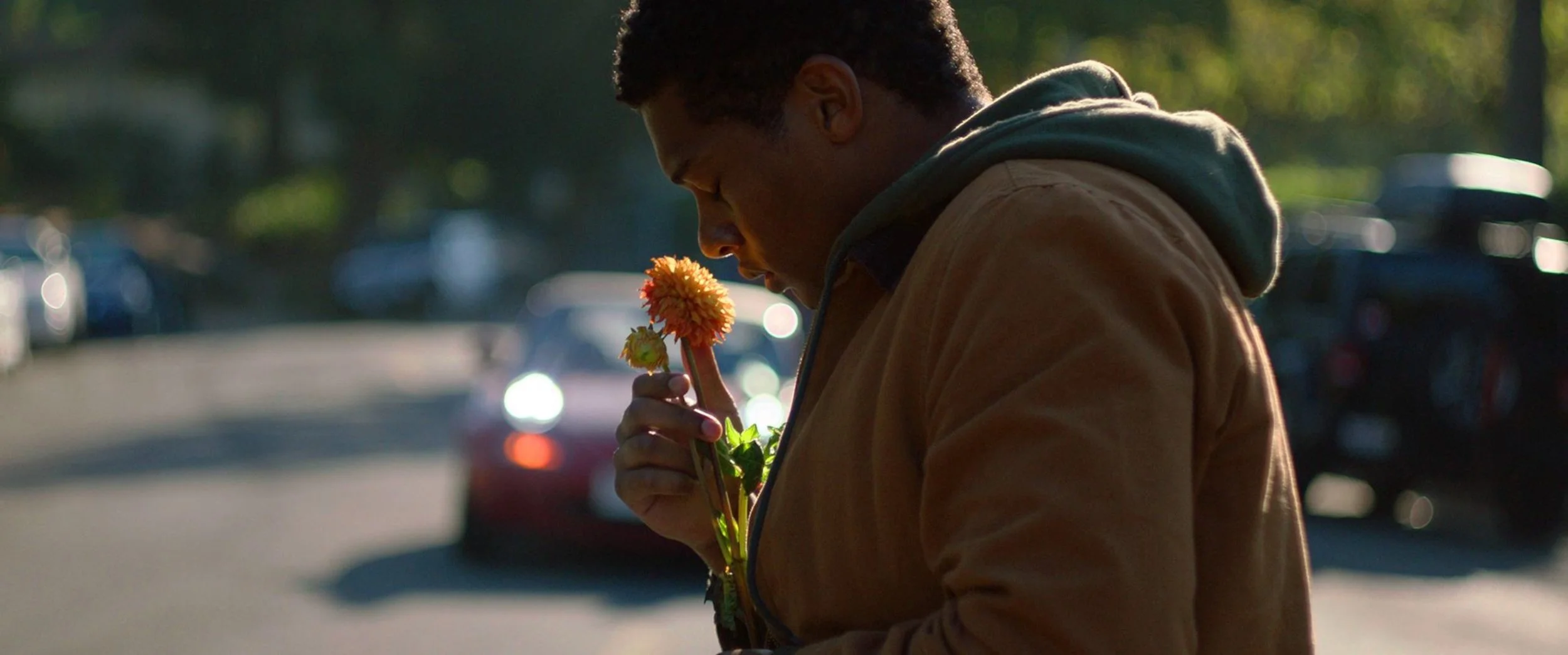 Screen Shot 2021-08-12 at 2.42.16 PM.JPEG